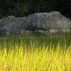 photo "Grey stone and colourful..."