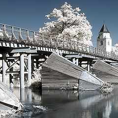 фото "the bridge"