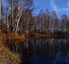 photo "In a presentiment of a snow..."