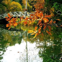 photo "Autumn impressionism"