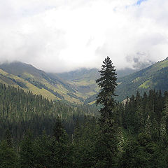 photo "On the way the Mtzy lake"