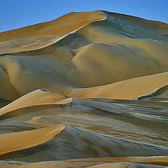 фото "Dunes 1"