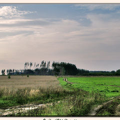 фото "Дуализм"