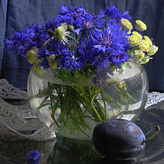 photo "Сornflowers"