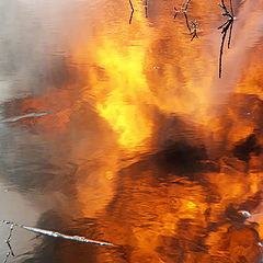 photo "The Reflection of the Crock."