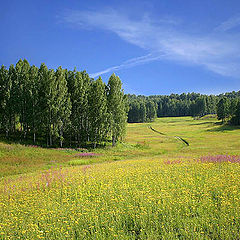 photo "Footpath"