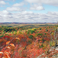 фото "Algonquin Park"