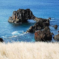 photo "Madeira seaside"