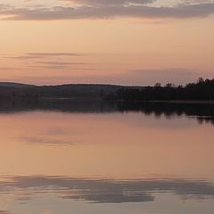 photo "Reflection"