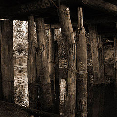 фото "переправа"