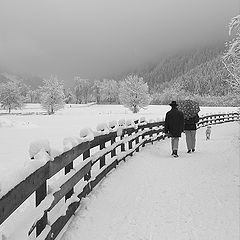 фотоальбом "Landscape"