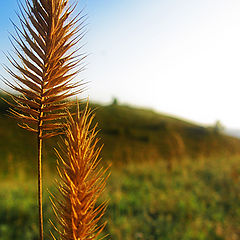 photo "two of us has left..."