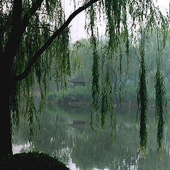 photo "Xian park (China)"