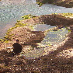 photo "cat and a man, esaouira,morroco"