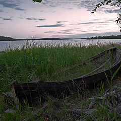 фото "Отплавался"