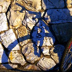 photo "Shadow and it's Bicycle"