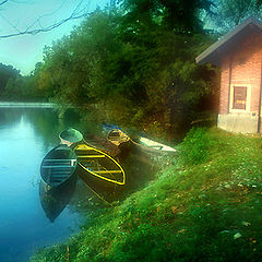 photo "Blue forest house"