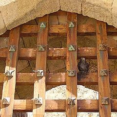 photo "Obidos door"