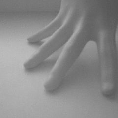 photo "Hand"