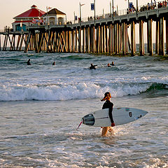 photo "First surf board"