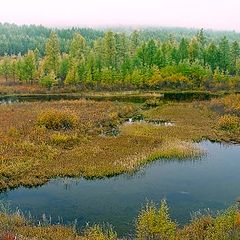 фото "Озеро"