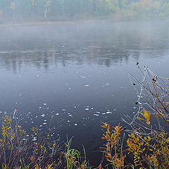 photo "The mist"