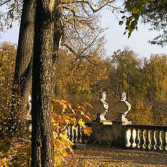 photo "Autumn in Arkhangelskое."