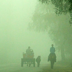фото "В тумане"