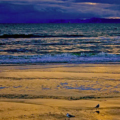 фото "Beach at dusk"