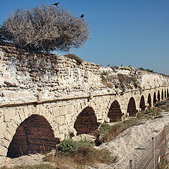photo "Road to the Past. Caesarea."