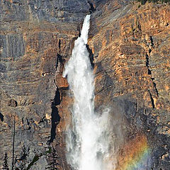 фото "Takkakaw Falls"