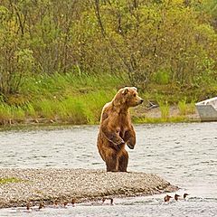 photo "Where the fisherman in the 2 boats behind me go?"