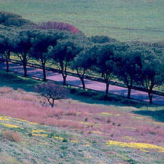 фото "Sicily: Spring"