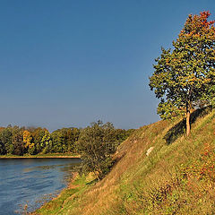 фото "ОСЕНЬ"