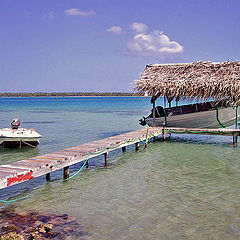 photo "Boat shelter"