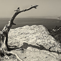 photo "On rocks Karaul-Oba"