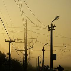 photo "elecro morning"