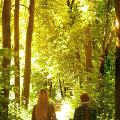 фото "Пламенеет солнце на дорожке,   в лесу укутанной листвой деревьев тонких."