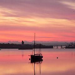 photo "Pink Morning"