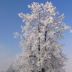фото "Зима в Угрешском..."