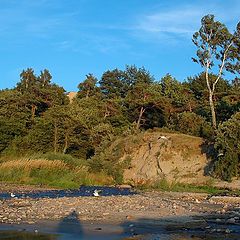 photo "Seaside landscape"