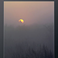 photo "Silent sunrise"