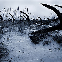 photo "anchors cemetery"