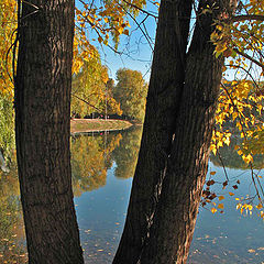 фото "У озера..."