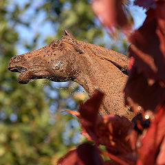 photo "Old... Rusty..."