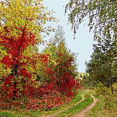 фото "Краски осени"