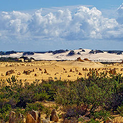 фото "The Pinnacles Desert"