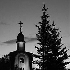 фото "В черно-белых тонах"