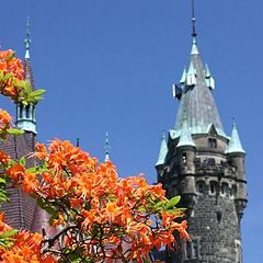 фото "Castle Moszna in the Flowers"