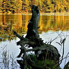 photo "The Monster of Lake"